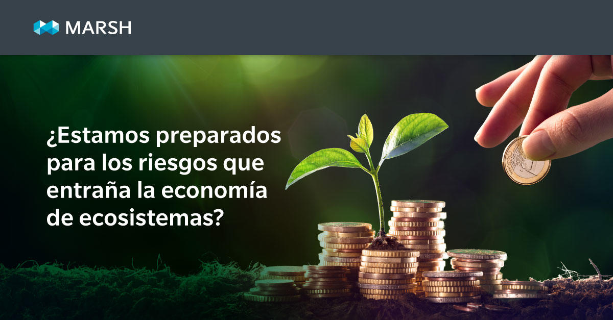 ¿Estamos preparados para los riesgos que entraña la economía de ecosistemas?