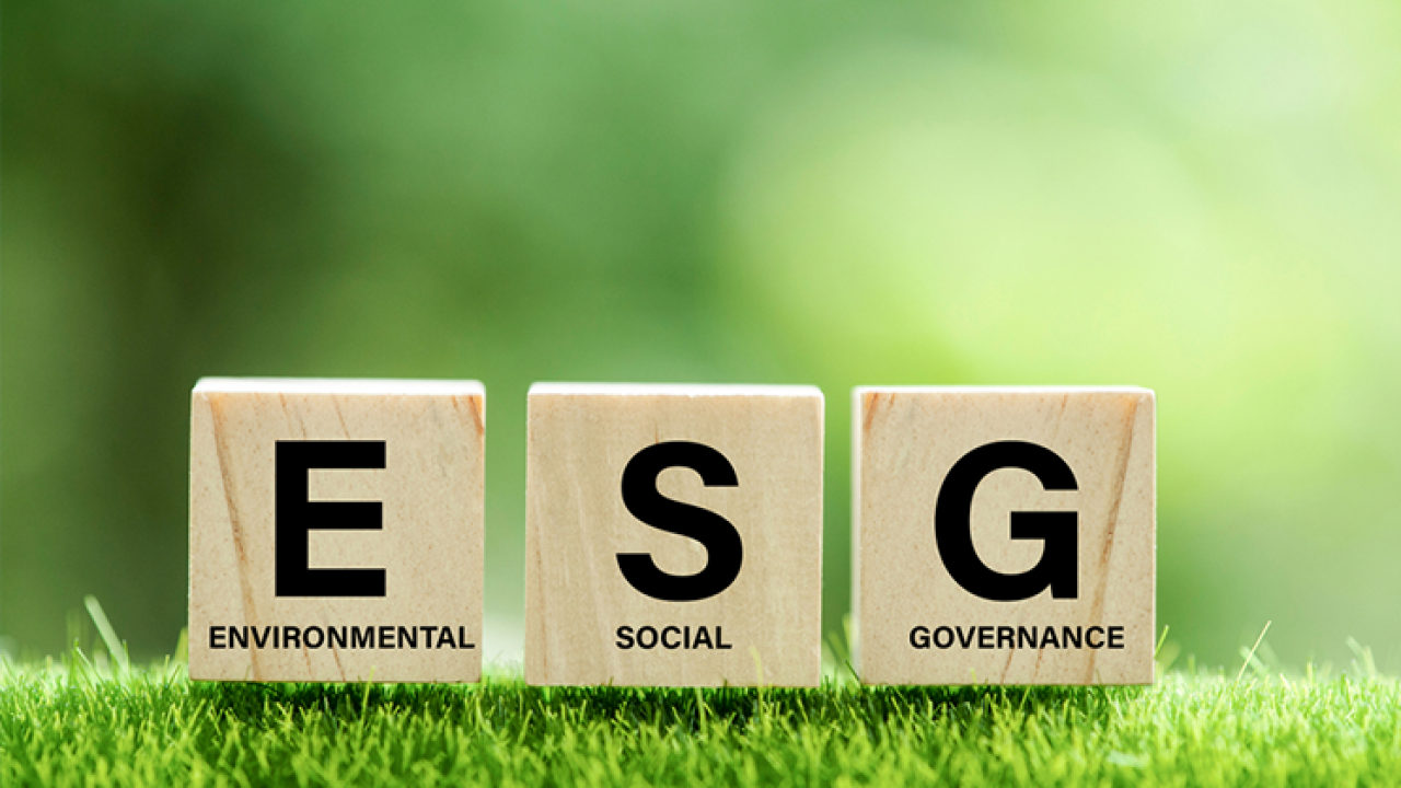 La diligencia debida es clave para unificar los criterios ESG